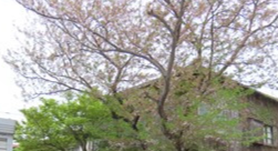 s-IMG_7746