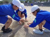 s-DSC01740