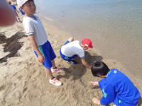 s-DSC01756