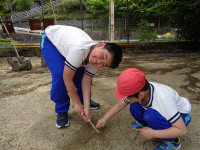 s-DSC06046