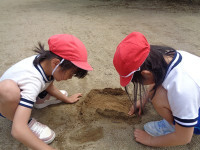 s-DSC06056
