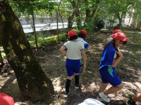 s-DSC06060