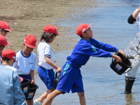 s-IMG_8252