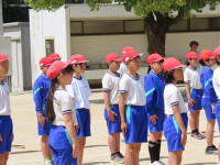 s-IMG_8276