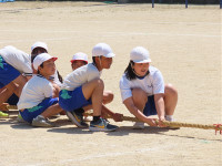 s-IMG_8492