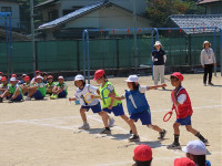 s-IMG_8554