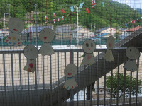 s-IMG_8702