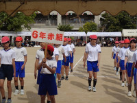 s-DSC00052