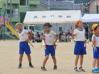 s-IMG_8848