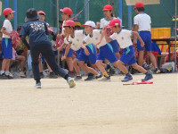 s-IMG_8935