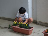 s-IMG_9306