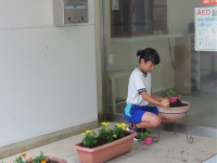 s-IMG_9310