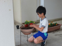 s-IMG_9309