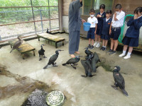s-DSC01920