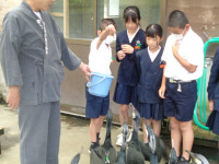 s-DSC01923