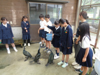 s-DSC01931