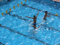 s-IMG_0279