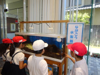 s-DSC04228