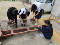 s-IMG_2885