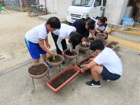 s-IMG_2886