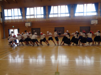 DSC05282