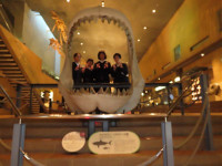 s-IMG_5032
