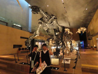 s-IMG_5040