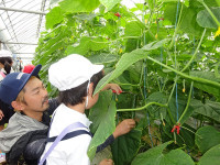 s-DSC04357