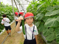 s-DSC04356
