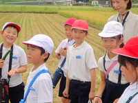 s-DSC04372